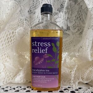 Discontinued Bath & Body Works Aromatherapy Eucalyptus Tea Body Wash Foam Bath
